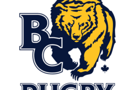BC Bears logo 2024